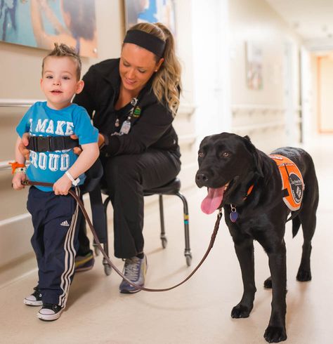 There is certain jargon, vocabulary, and slang used in AAT. These terms may be simplified for the patients understanding Cave Canem, Recreational Therapy, Labrador Facts, Animal Therapy, Service Dogs Gear, Dog Hero, Free Bed, Recreation Therapy, Cutest Puppies