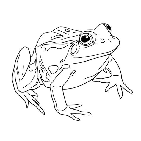 Hand drawn frog outline illustration | Free Vector #Freepik #freevector #animal-outline #line-art #outline #animal-drawing Frog Outline, Frosch Illustration, Frog Sketch, Animal Line Drawings, Train Drawing, Animal Outline, Frog Illustration, Cartoon Character Tattoos, Frog Drawing