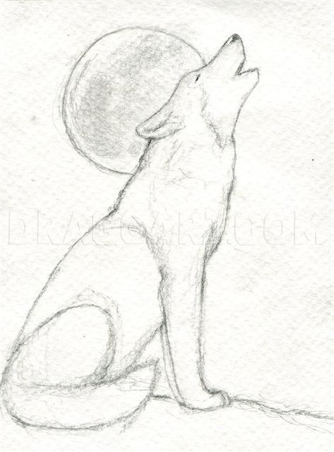 Wolf Art Drawing, Wolf Drawing Easy, Wolf Sketch, Regnul Animal, Easy Animal Drawings, Animal Drawings Sketches, Wolf Drawing, Drawing Faces, Art Drawings Sketches Pencil