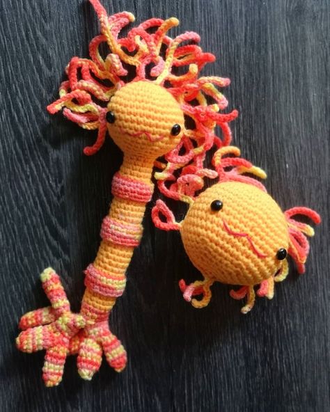 79 Likes, 4 Comments - Thepurplelilac (@thepurplelilac) on Instagram: “Love crocheting #Neuroscience toys for infants and little kids. Had a busy #longweekend working on…” Crochet Neuron, Science Crochet, Toys For Infants, Printable String Art Patterns, String Art Patterns, Art Patterns, Yarn Thread, Medical Illustration, Crochet Stuff