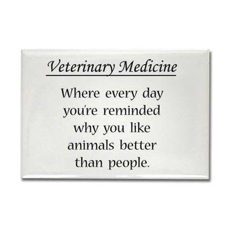 Veterinary Medicine Vet Tech Quotes, Veterinarian Quotes, Veterinarian Assistant, Medicine Humor, Vet School Motivation, Vet Humor, Veterinary Humor, Vet Tech Humor, Future Veterinarian