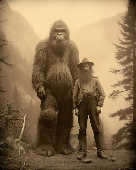 Sasquatch Bigfoot & Logger 1913 Photo Olympic Peninsula Cryptid Folklore 8X10 | eBay Real Bigfoot Pictures, Real Bigfoot, Sasquatch Funny, Sasquatch Sightings, Bigfoot Pictures, Bigfoot Sasquatch, Unique Photos, Western Life, Olympic Peninsula