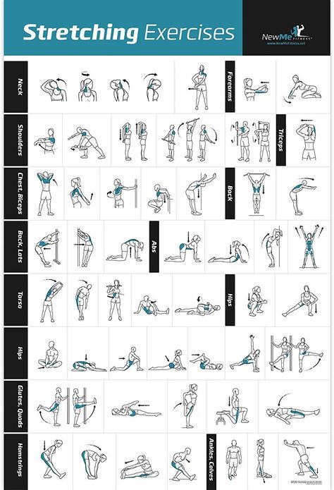 Exercise Poster, Exercise Chart, Post Workout Stretches, Stretching Exercise, Fitness Studio Training, Gym Antrenmanları, Fitness Routines, Workout Posters, Mobility Exercises