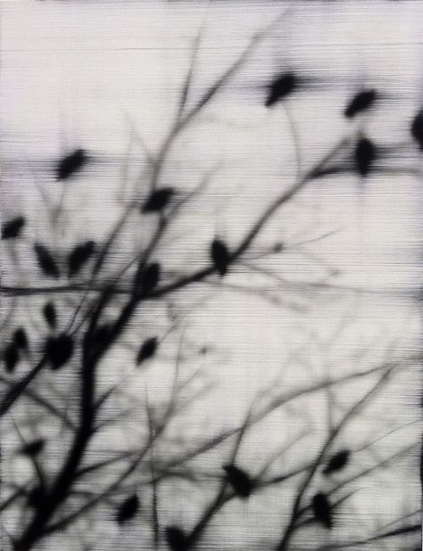 “Transiency is the best proof of unreality.” Branches Photography, On The Wings Of Love, Blur Photography, Dark Romantic, Light Of Life, White Aesthetic, Black Bird, Black And White Photography, Dark Aesthetic