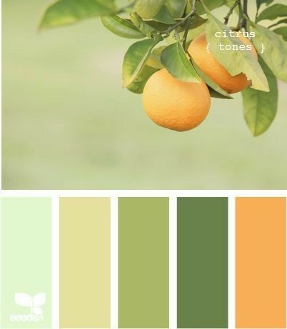 Color Palate, Design Seeds, Orange Tree, Green Kitchen, Color Stories, Green And Yellow, Ideas Kitchen, Colour Schemes, Color Pallets