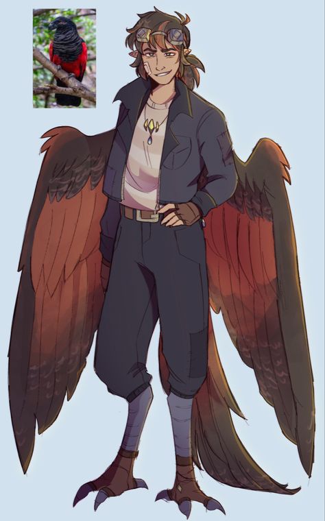 Based off Dracula Parrot Dracula Character Art, Bird People Anatomy, Winged People Poses, Parrot Feather Drawing, Harpy Oc Male, Peacock Tail Drawing, Bird People Oc, Harpy Dnd Character, Animal Superhero Oc