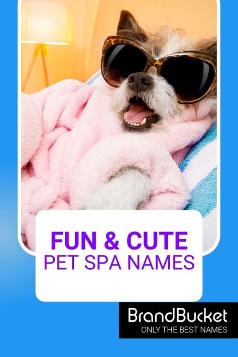 In search of amazing Pet Spa Names? You’ve come to the right place! Here you'll find 50+ catchy brand names for Pet Spas that will have a whole zoo of customers coming to your door! Check out the names now! Pet spa names, pet spa name ideas, pet grooming business names, pet boarding business names, pet grooming salon, pet grooming business, pet grooming van, pet grooming shop, dog grooming, dog grooming salon ideas, cat grooming salon, cat groomer, animal care business, animal caretaker Cat Grooming Salon, Spa Names, Grooming Salon Ideas, Dog Grooming Salon Ideas, Pet Grooming Shop, Pet Grooming Business, Pet Sitting Business, Cat Groomer, Pet Grooming Salon