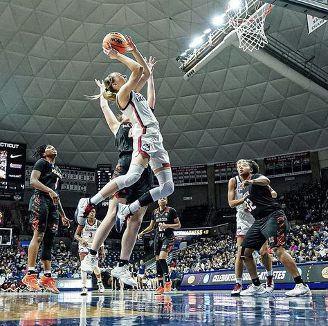 Basketball Ground, Uconn Basketball, College Basketball Players, Basketball Rules, Uconn Womens Basketball, I Love Basketball, Bola Basket, Basketball Photos, Basketball Workouts