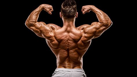 The Top 10 Back Workout Tips - T NATION One Arm Row, Farmers Walk, Advanced Workout, Muscle Protein, Side Lunges, Leg Press, Fitness Design, Back And Biceps, Improve Posture