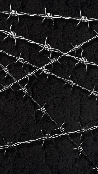 Razor Wire, Iphone Wallpapers Hd, Wallpapers Ipad, Goth Wallpaper, Wallpaper Iphone Summer, Ipad Wallpapers, Ipad Background, Framed Photo Collage, Y2k Wallpaper