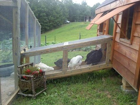 Laurelridgedreams's Chicken Coop - BackYard Chickens Community Reban Ayam, Chicken Tunnels, Coop Decor, Easy Chicken Coop, Duck Coop, Portable Chicken Coop, Chicken Pen, Chicken Coop Run, Chicken Coop Designs