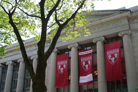 Harvard Application, The Kennedys, Harvard Graduate, Harvard College, School Songs, Harvard Law, Harvard Law School, University Admissions, Dream College