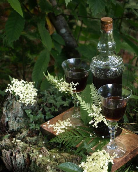 Mirkwood Elderflower Cordial by Realm of Yavanna Silvan Elves, Elderberry Wine, Elderflower Cordial, Nature Witch, Woodland Cottage, Witch House, White Table Cloth, Beltane, Season Of The Witch