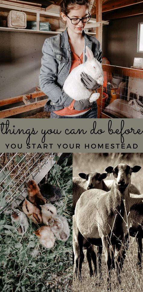 Hobby Farm Ideas, Permaculture Homestead, Miniature Goats, Types Of Farming, Dream Homestead, Homestead Blog, Off Grid Homestead, Simple Living Lifestyle, Homesteading Diy