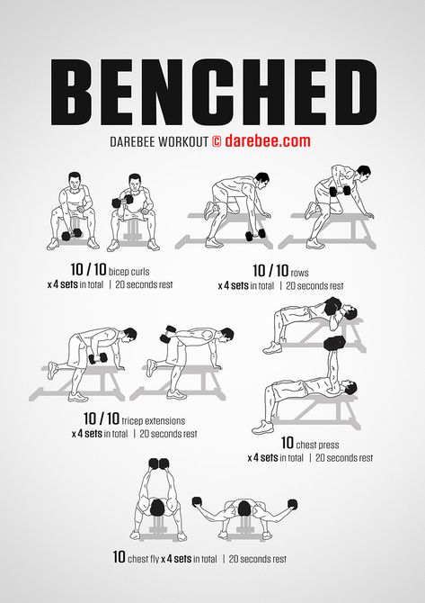 Free Weight Workout, Fitness Studio Training, Full Body Dumbbell Workout, Bench Workout, Dumbell Workout, Trening Fitness, Weight Training Workouts, Weight Benches, Body Workout Plan