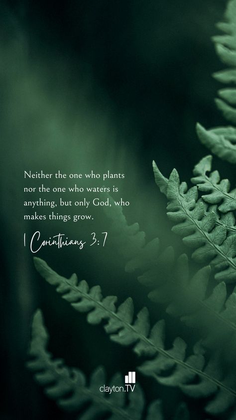 1 corinthians god jesus christian nature green wallpaper lockscreen bible verse quotes Green Lockscreen Aesthetic, Bible Verse Lockscreen, Nature Bible Verses, Bible Verse Wallpaper Green, Green Jesus Wallpaper, Green Bible Verse Wallpaper, Dark Green Christian Wallpaper, Christian Green Wallpaper, Green Aesthetic Christian Wallpaper