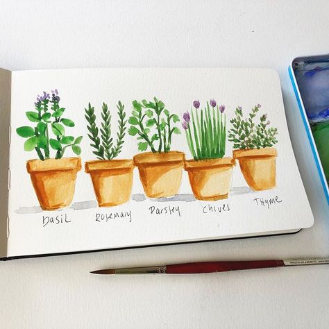 Artist/designer/ Illustrator (@ellencrimitrent) • Instagram photos and videos Sketchbook Painting Ideas, Herbs Watercolor, Potted Herbs, Watercolor Herbs, Herb Art, Sketchbook Painting, Art Impressions Stamps, Water Color Pencil, Watercolor Paintings For Beginners