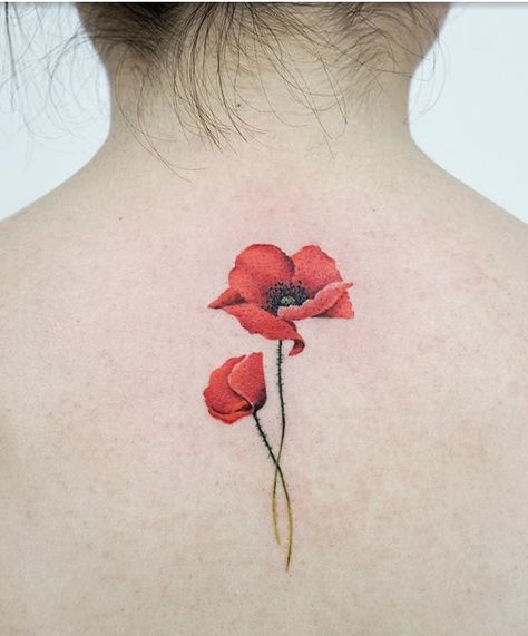 Ranunculus Fine Line Tattoo, Morning Glory Poppy Tattoo, Poppy Back Tattoo, Poppy Seed Tattoo, Mesmerizing Tattoos, Red Poppy Tattoo, Poppy Flower Tattoo, Poppy Tattoo, Flower Poppy