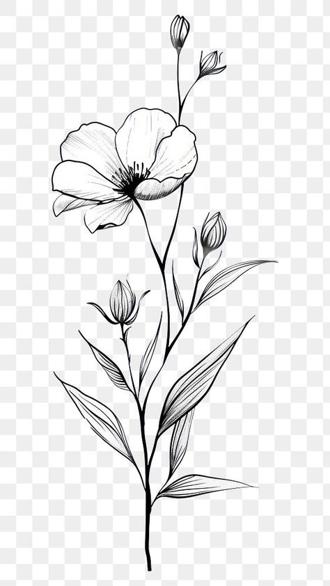 Hand Drawn Flowers Illustration, Graphic Flower Tattoo, Wildflower Line Drawing, Wildflower Black And White, Wildflowers Drawing, Small Flower Drawings, Line Drawing Flowers, Wild Flower Design, Aesthetic Pngs