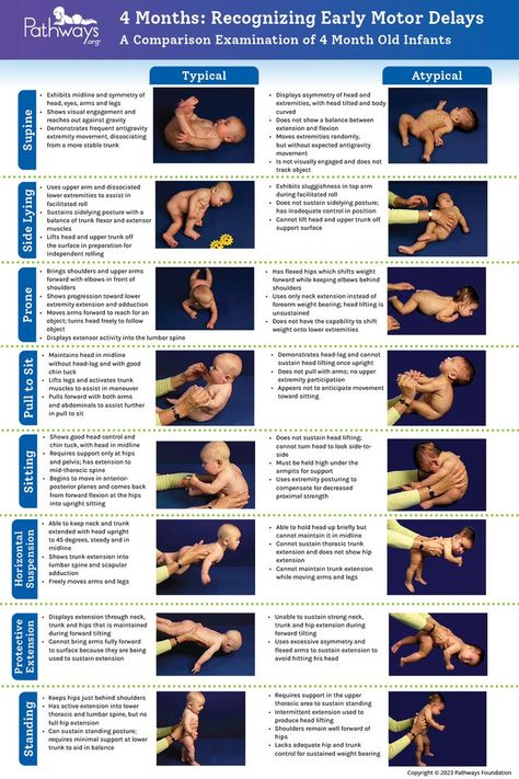 Check out our 4 Month Old Baby Typical and Atypical Motor Development reference guide includes a breakdown of the eight positions healthcare providers use to determine if intervention is needed, and what parents can look for in baby’s development. Head over to Pathways.org to download and print the handout, which is available in multiple languages! #babydevelopment #motordevelopment #motorskills #grossmotor #pediatrictherapy #4monthold #physicaltherapy 3 Month Old Development, 3-4 Month Milestones, Infant Stretches, 3-4 Month Old Activities, 5 Month Baby Activities, Infant Exercises, 4 Month Old Baby Milestones, 4 Month Old Milestones, 4 Month Milestones