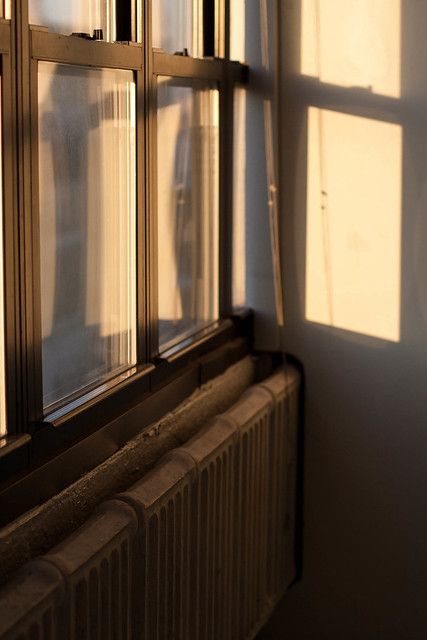 Window With Sunlight, Warm Lighting Aesthetic, Sunlight Through Window, Beth Kirby, Ann Marie, Window Light, Trailer Park, The Secret History, Morning Sun