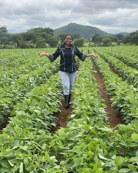 AGRICULTURE should not be looked at just as a Way of Life but much as as Way of Profit Making. #InvestWisely❗ Agriculture Pictures, Farm Agriculture, Agriculture Photography, Agriculture Photos, Farming Ideas, Natural Farming, Farm Land, Agricultural Land, Farm Lifestyle