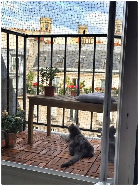 Balcony Catios: The Purrfect Solution For Cats That Live In Apartments! - Catio World Patio Ideas For Dogs, Cat Proof Balcony, Cat Apartment, Paris Balcony, Cat Patio, Outdoor Cat Enclosure, Cat Proofing, Small Balcony Design, Trendy Apartment