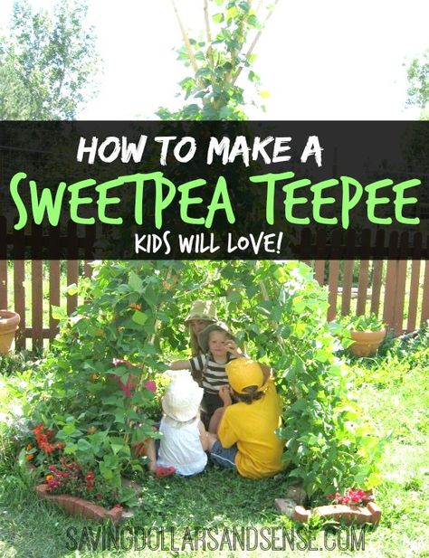 This is the perfect summer time fort for kids!  Click through to find out How to make a Sweetpea TeePee Sweet Pea Teepee, Pea Teepee, Growing Ginger Indoors, Teepee Trellis, Sensory Garden, Teepee Kids, Children's Garden, Plant Diseases, School Garden