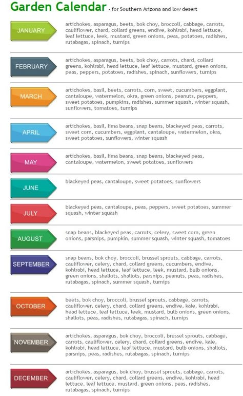 Arizona and Low Desert Gardening Planting Calendar from Farms Choice Arizona Planting Schedule, Garden In Arizona Raised Beds, Gardens In Arizona, Low Desert Gardening, Arizona Gardening Vegetables, Desert Vegetable Garden Arizona, Arizona Vegetable Garden, Arizona Garden Ideas, Desert Vegetable Garden