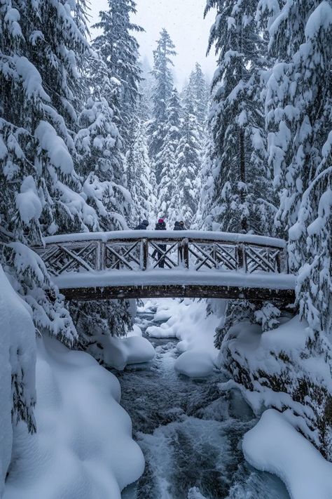 "❄️🏞️ Experience the magic of a winter wonderland in Whistler, Canada! From powdery snow to cozy lodges, discover everything you need for the perfect snowy escape. Swipe for your next snowy adventure! ⛷️🌨️ #Whistler #WinterWonderland #SnowFun" Quebec In Winter, Winter In Alaska, Canada Winter Aesthetic, Canada Aesthetic Winter, Whistler Aesthetic, Whistler Canada Winter, Snow In Canada, Cold Winter Aesthetic, Canada Wonderland