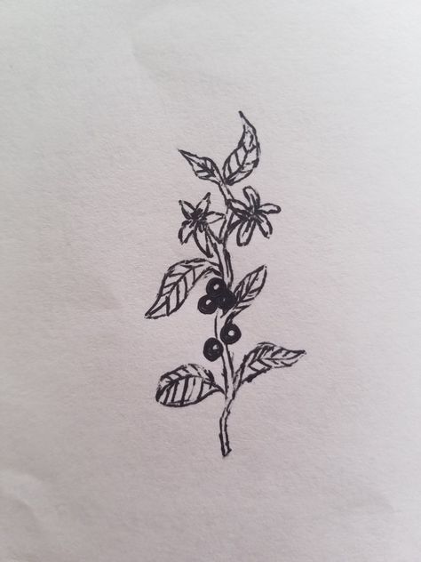 Coffee plant tattoo Coffee Leaf Tattoo, Unique Plant Tattoo, Coffee Berry Tattoo, Coffee Tree Tattoo, Small Coffee Tattoo, Coffee Bean Flower Tattoo, Coffee Plant Tattoo Minimalist, Coffee Branch Tattoo, Coffee Plant Tattoo Color