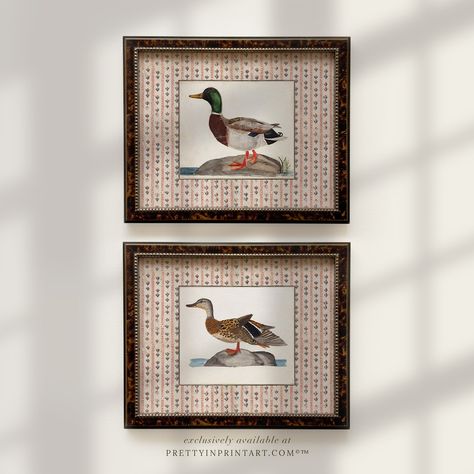 Busy morning this morning! Lots of these lovely ducks in our vintage style frames heading out… sooo many orders for our reproduction antique landscapes in hand painted frames - and not to mention countless orders for our Babar art in Farrow & Ball frames 🥰 I cannot tell you, the relief you feel, when you launch a completely new side of your business and within months, you’re overwhelmed with orders ❤️ A HUGE thank you to everyone who has shopped with me ❤️ Rachael xx • • #cottagecore #cottage... London Room, Gallery Wall Template, English Cottage Decor, English Interior, Unique Gallery Wall, Vintage Framed Art, Vintage Duck, Duck Art, Extension Ideas