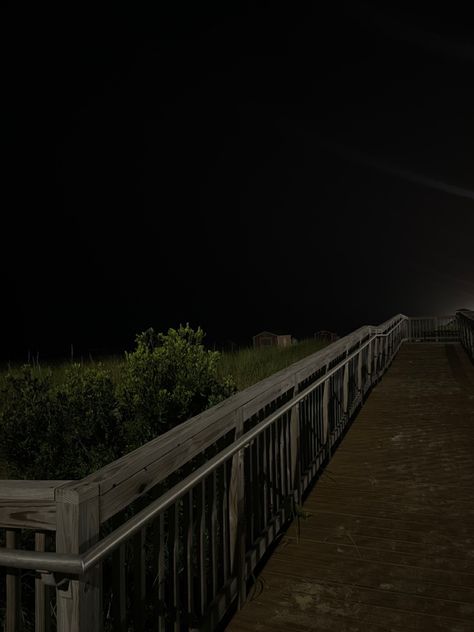 beach at night Long Exposure Photos, Beach At Night, Beach Night, Dog Beach, Long Exposure, Beach Walk, Book Inspiration, Dog Walking, At Night