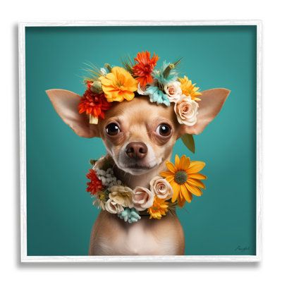 Teacup Chihuahua