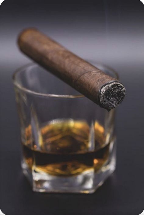 Coffee Tumblr, Whiskey Gifts, Pipes And Cigars, Cuban Cigars, Cigars And Whiskey, Fidel Castro, Irish Whiskey, Natural Food, Cigars