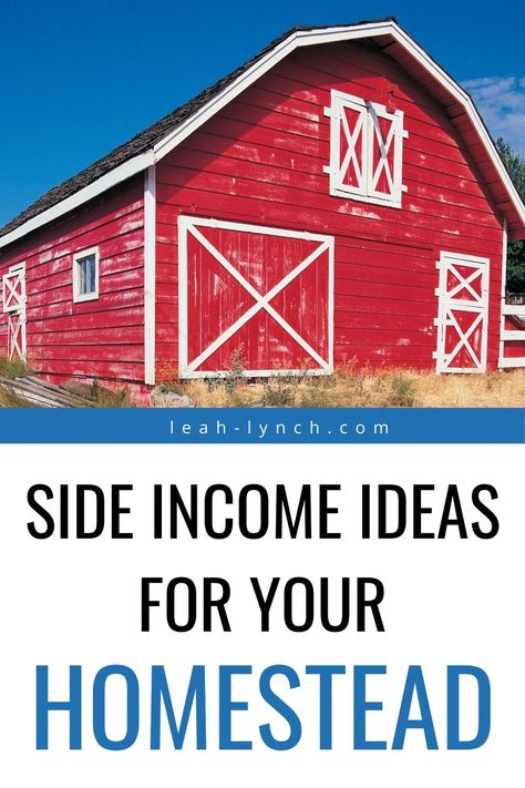 Farm Money Making Ideas, Farm Side Hustles, Homestead Income Ideas, Homestead Side Hustle, Hobby Farm Ideas, Make Money Homesteading, Side Income Ideas, Farm Market Ideas, Urban Farms