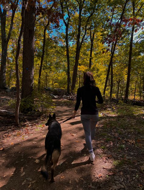 Dog Walk Asthetic, Autumn Dog Walk Aesthetic, Hiking With Dogs Aesthetic, Walking German Shepherd Aesthetic, Running With A Dog, Walk The Dog Aesthetic, Fall Dog Aesthetic, Dog Hiking Aesthetic, Walk Dog Aesthetic