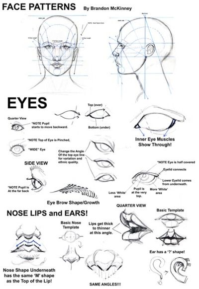 Drawing faces How To Draw Eyes, 얼굴 드로잉, Draw Eyes, Drawing Hair, 얼굴 그리기, Lips Drawing, Basic Drawing, Anatomy Drawing, Poses References