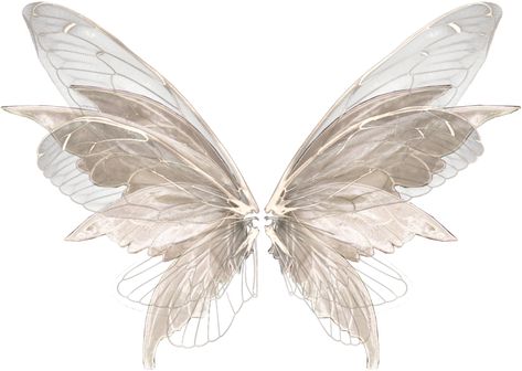 Gardencore Aesthetic, Wing Png, Wings Png, Wings Butterfly, Fairycore Grunge, Gold Outfit, White Wings, Cute Fairy, Fairy Wings