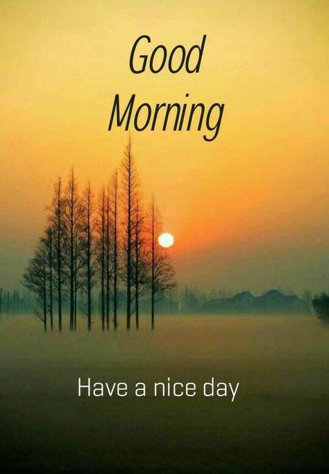 Good Morning For Love, Nice Good Morning Images, Romantic Good Morning Quotes, Good Morning Sun, Love Good Morning, Good Morning Clips, Apj Quotes, Morning Msg, Morning Wallpaper