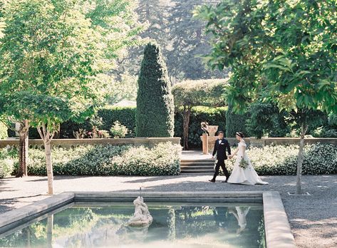 Beaulieu Garden Wedding, Beaulieu Garden, Wedding Painting, Napa Wedding, Martha Stewart Weddings, Wedding Chicks, Film Photographers, Groom Portrait, Fine Art Wedding