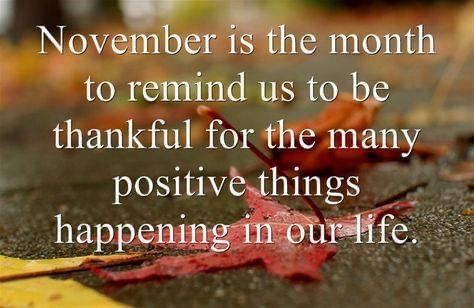 End Quotes, Gratitude Reflection, Tools Theme, November Quotes, Month Quotes, Ending Quotes, End Of November, Bear Quote, Joy Quotes