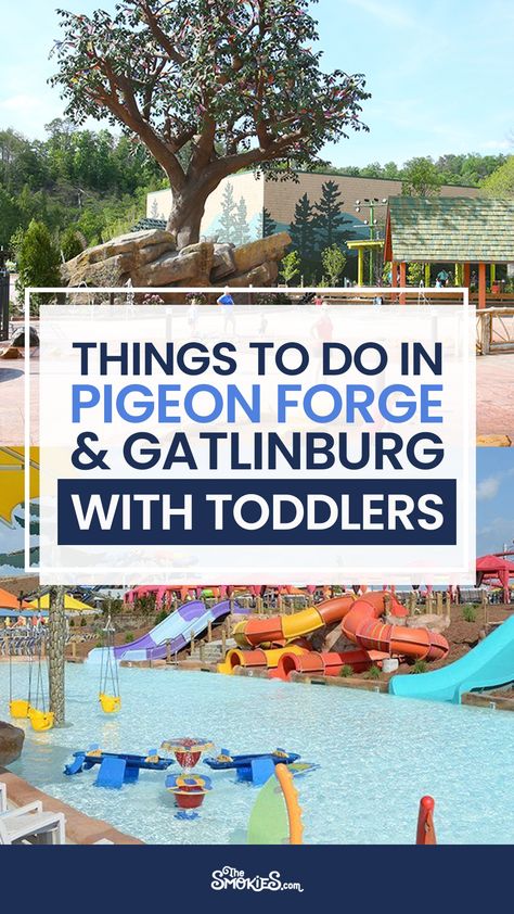 Vacation Gatlinburg Tennessee, Thing To Do In Gatlinburg, Things To Do Near Gatlinburg Tn, Smoky Mountains Family Vacation, Stuff To Do In Gatlinburg, Cheap Things To Do In Gatlinburg Tn, Gatlinburg Tennessee Things To Do In March, Tennessee Vacation With Kids, Things To Do Gatlinburg Tn