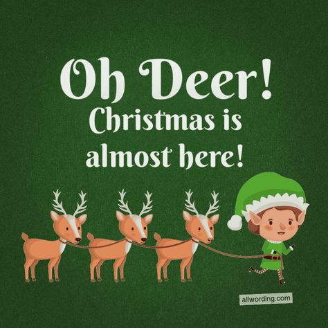 Rudolph Quotes Christmas, Reindeer Sayings, Almost Christmas Quotes, Reindeer Quotes, Rudolph Quote, Deer Quotes, Cute Christmas Quotes, Baby Christmas Crafts, Xmas Quotes