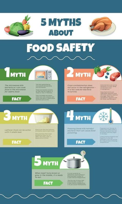 Food Safety Myths Infographics Food Safety Infographic, Food Health Benefits, Nutrition Food, Healthy Plan, Illustration Advertisement, Safety Awareness, Food Nutrition, Common Myths, Fresh Fruits And Vegetables