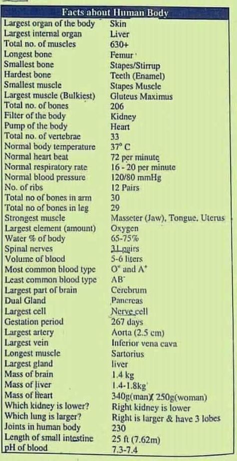 Basic Biology Terms, Science Basics Knowledge, Medical Terminology Study, Learn Biology, Chemistry Basics, Human Body Facts, Basic Anatomy And Physiology, Nurse Study Notes, Nursing Student Tips