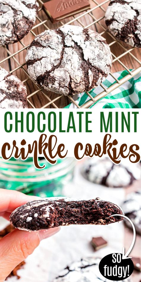 Chocolate Crinkle Cookies Recipe, Dark Chocolate Mint, Crinkle Cookies Recipe, Chocolate Crinkle, Chocolate Mint Cookies, Chocolate Crinkle Cookies, Chocolate Crinkles, Mint Cookies, Crinkle Cookies