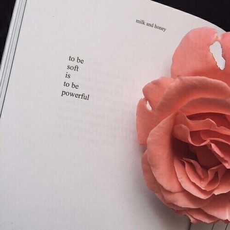 The Personal Quotes #love quotes #quotes #inspiration #inspirational #love #quote #tumblrquotes #typography #so true Milk And Honey Quotes, Honey Quotes, Be Soft, Milk And Honey, Open Book, Poetry Quotes, Pretty Words, The Words, Beautiful Words