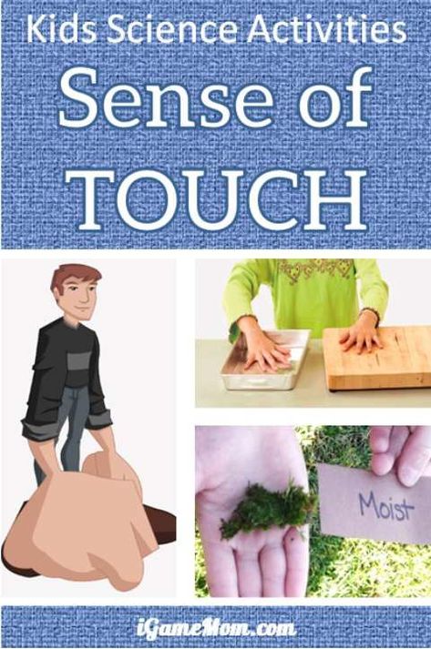 Science activities for kids to learn about sense of touch: why can we feel different objects, do all parts of our body has the same sensitivity? Fun STEM activities to go with the study of 5 senses, good for wide age range, from preschool to kindergarten to school age. Some are also good for school science fair project ideas. Touch Activities, Science Fair Project Ideas, Fair Project Ideas, Senses Preschool, Fun Stem Activities, Science Fair Project, Senses Activities, Kids Science, 5 Senses