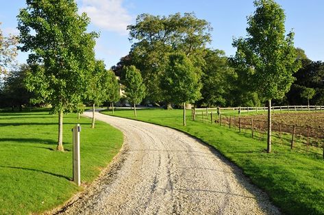 Long Driveway Landscaping | Driveway - Calimesa, CA - Photo Gallery - Landscaping Network Landscaping A Large Front Yard, Wedding Venue Driveway Entrance, Gravel Driveway Edging, Gravel Driveway Landscaping, Ranch Plans, Driveway Border, Acreage Landscaping, Grass Driveway, Driveway Edging